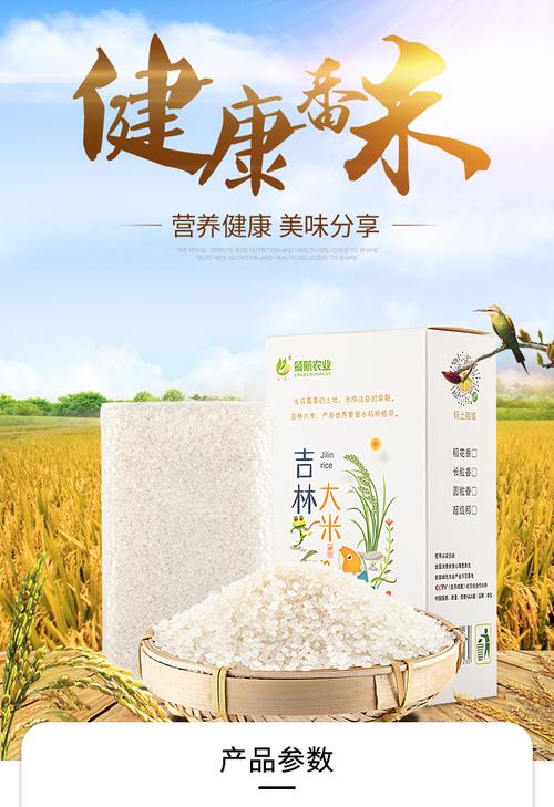 领垚科技 以匠心守初心，为您呈现一碗真正的好米饭